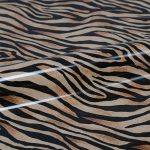 Wild Zebra