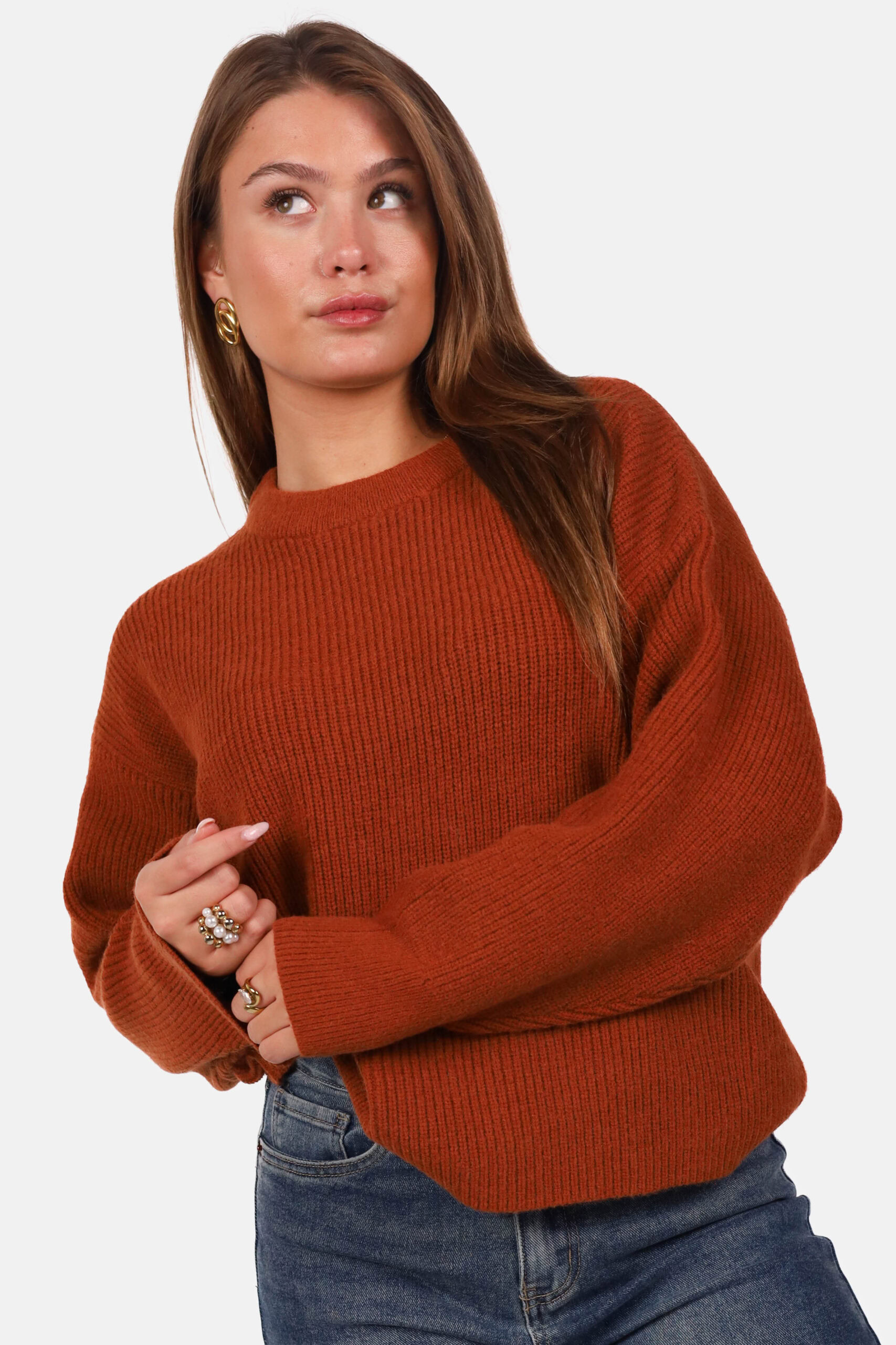 Gebreide trui met ronde hals camel