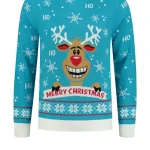 Kersttrui Rudolph Turquoise